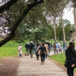 Rome: Colosseum,Forum & Palatine Tour + Optional Arena Floor - Roman Forum & Palatine Hill: Walking Through Rome’s Birthplace