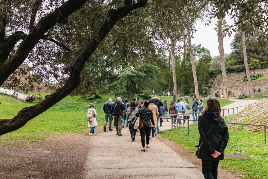 Rome: Colosseum,Forum & Palatine Tour + Optional Arena Floor - Roman Forum & Palatine Hill: Walking Through Rome’s Birthplace