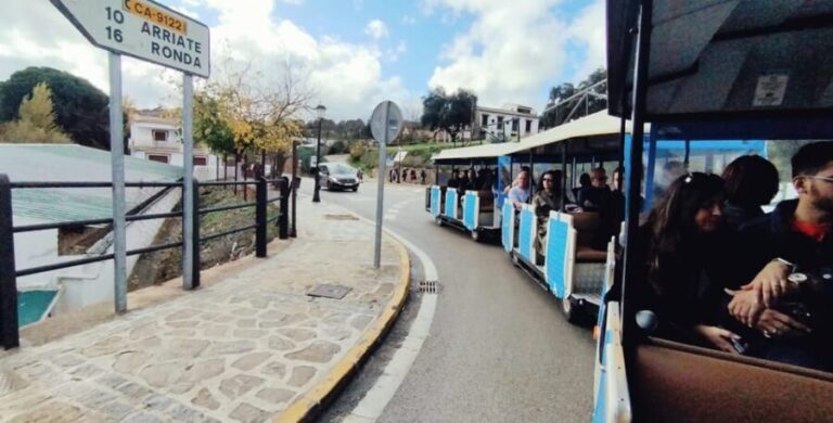 Ronda and Setenil Tour with Free Time from Málaga - A Closer Look at the Itinerary