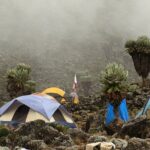 Rongai 7 days - Day 1: From Forests to the Starting Point