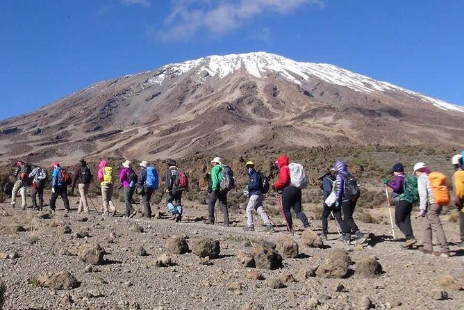 Rongai Route 6 Days 5 Nights/Kilimanjaro climb - Logistics and Practical Considerations