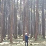 Round Trip to Menagesha Suba Forest Park - Real Experiences and Insights from Visitors