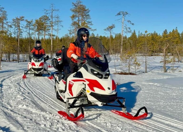 Rovaniemi: 4h Electric Snowmobile Safari at Reindeer Farm - Is It Worth the Price?