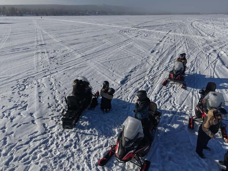 Rovaniemi: Arctic Snowmobiling Ride with Local Guide - Cozy Breaks & Warmth