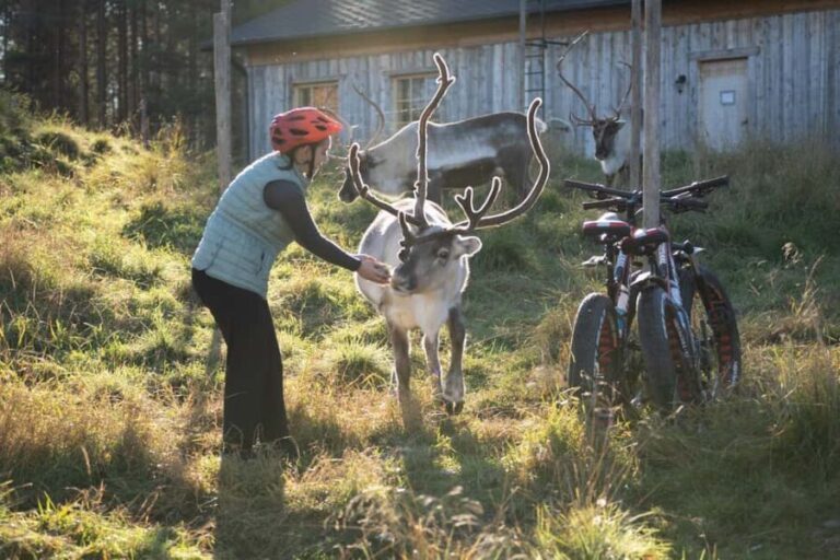 Rovaniemi: E-fatbike Trip to the Reindeer Farm - Exploring the Itinerary in Detail