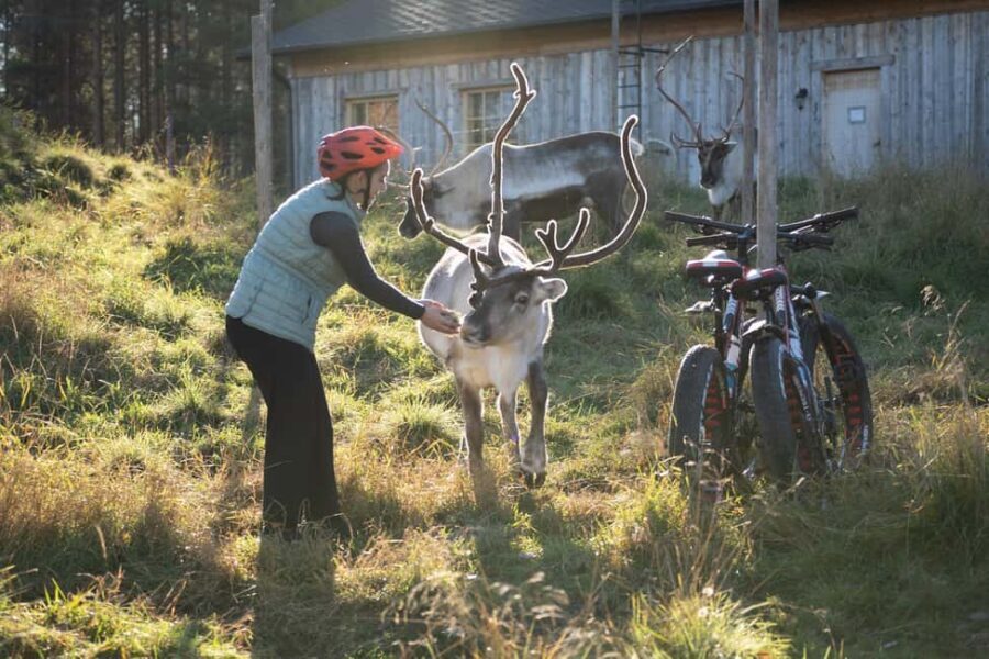 Rovaniemi: E-fatbike Trip to the Reindeer Farm - Exploring the Itinerary in Detail
