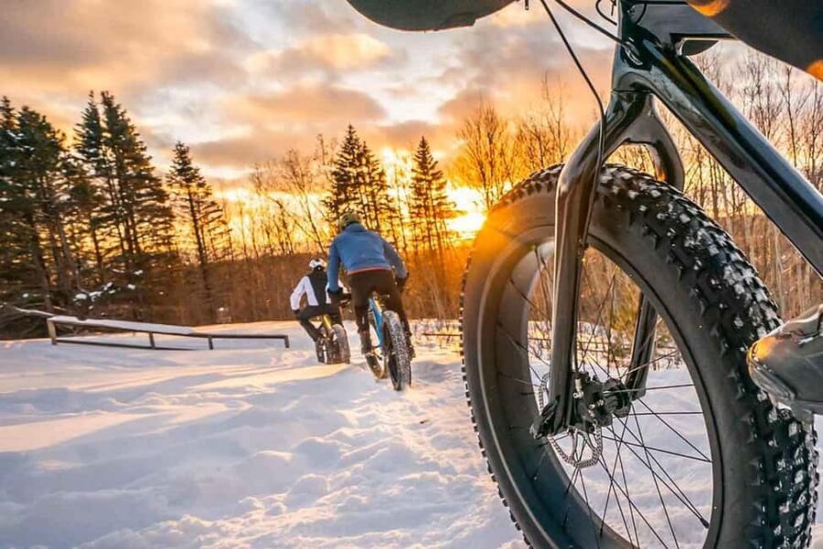 Rovaniemi: Electric Fatbike Rental with Helmet - The Experience: Winter and Summer Rides