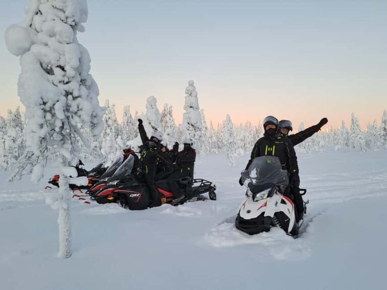 Rovaniemi: Full-Day Snowmobile Adventure - Why This Tour Stands Out