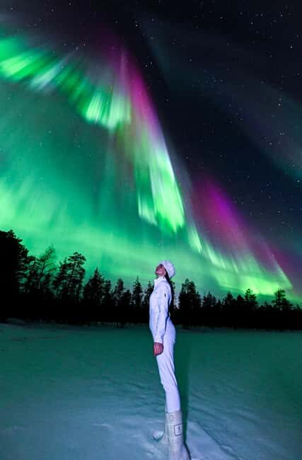 Rovaniemi: Guaranteed Northern Lights Tour With Photography - The Itinerary and What to Expect