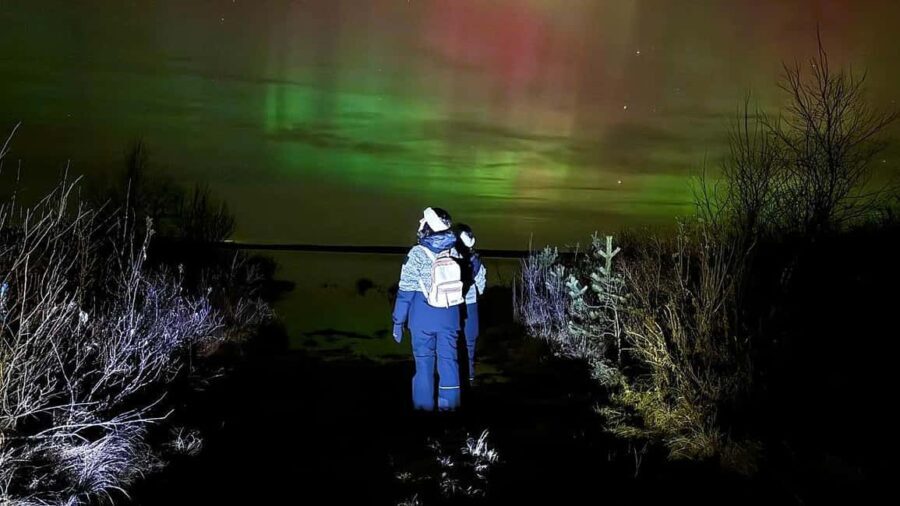 Rovaniemi: hunting for the Northern Lights with BBQ - The Scenic Stops and What to Expect