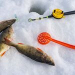 Rovaniemi: Ice Fishing, Private Sauna & Salmon Soup - Why This Tour Offers Great Value