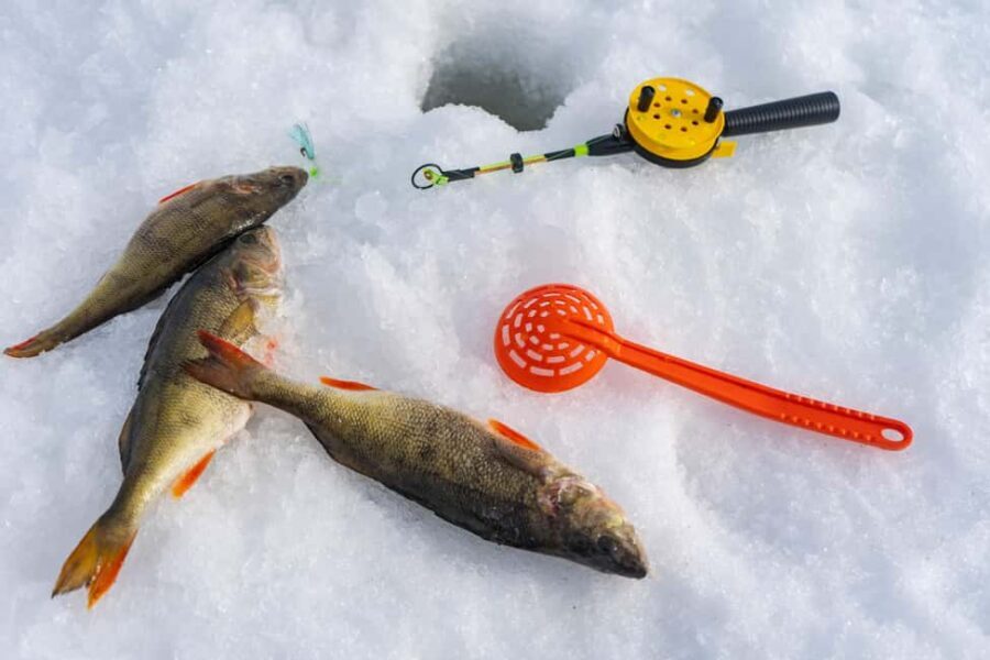 Rovaniemi: Ice Fishing, Private Sauna & Salmon Soup - Why This Tour Offers Great Value