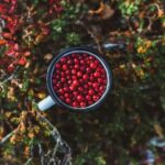 Rovaniemi: Insider Berry and Mushroom Picking & Pancakes - In-Depth Review of the Berry and Mushroom Picking Experience