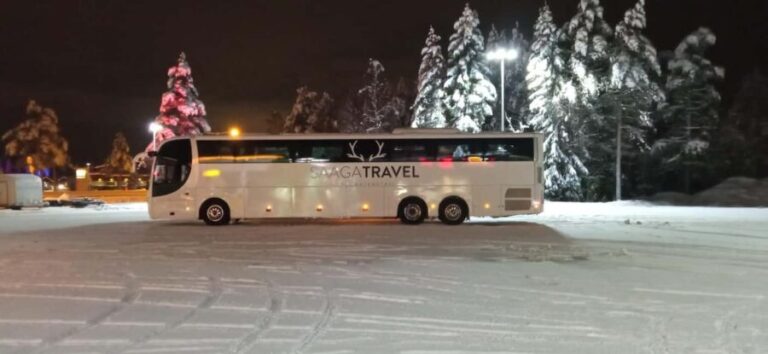 Rovaniemi: Insider Northern Lights Bus with Drinks & Snacks - An In-Depth Look at the Northern Lights Bus Tour