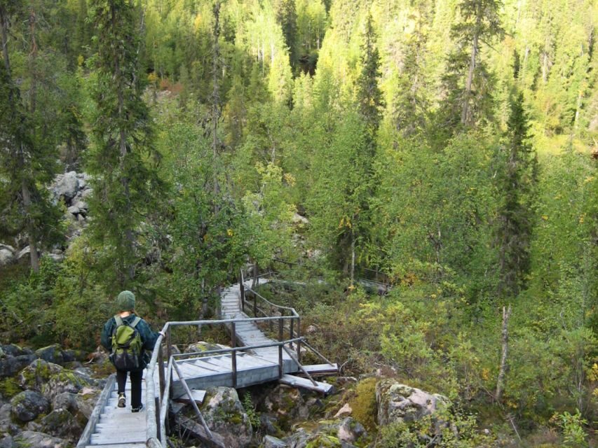 Rovaniemi: Korouoma Canyon Hike and Barbecue Experience - The Guided Experience