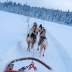 Rovaniemi: Lapland Wilderness Husky Safari 7,5 km - FAQs