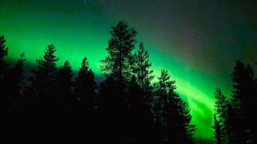 Rovaniemi: Night Tour in Search of the Aurora with BBQ - FAQ