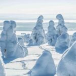 Rovaniemi: Riisitunturi and Korouoma Waterfalls Hiking Tour - Why This Tour Is Worth Considering