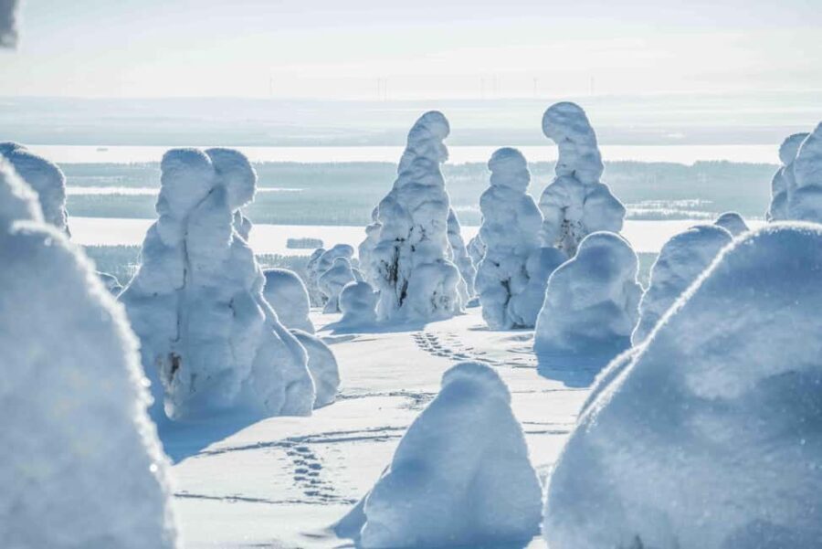 Rovaniemi: Riisitunturi and Korouoma Waterfalls Hiking Tour - Why This Tour Is Worth Considering