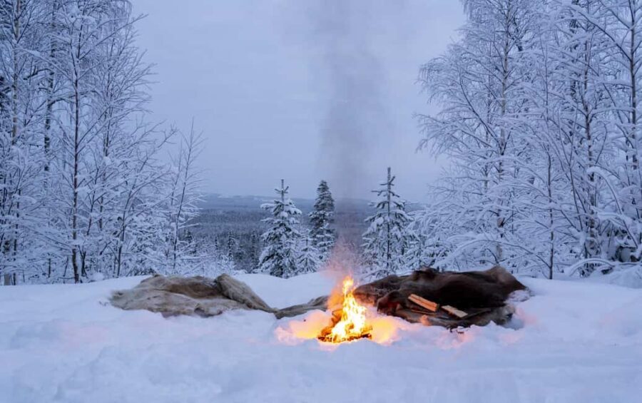 Rovaniemi: Snowmobile Sleigh Ride with Campfire Coffee - What’s Included and Practical Details