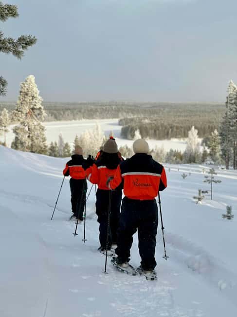 Rovaniemi: Snowshoe trip to meet reindeer - The Value of This Experience