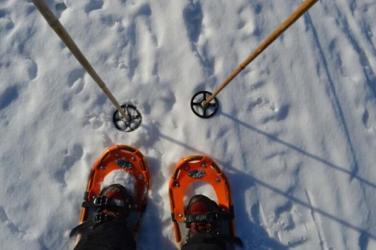 Rovaniemi: Snowshoeing Day Trip with Lunch - Pyhä-Luosto - The Authentic Experience: What Travelers Say