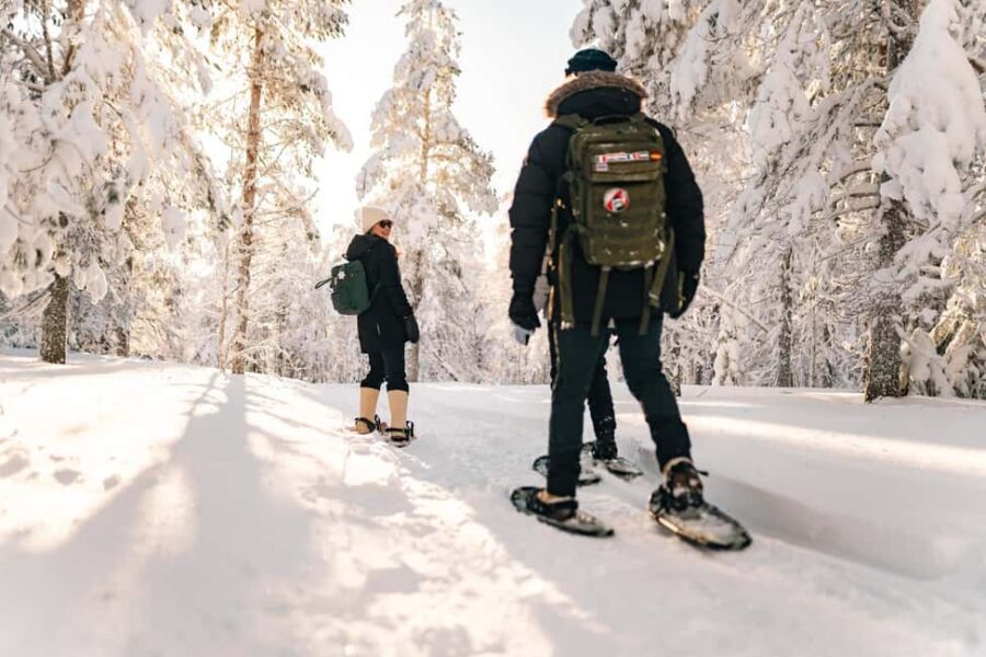 Rovaniemi: Snowshoeing in the Arctic Wilderness - Why This Tour Offers Great Value