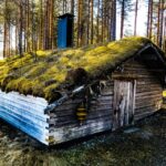 Rovaniemi: Summer Reindeer Farm Experience - An Authentic Reindeer Encounter in the Heart of Lapland