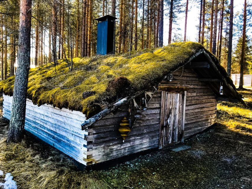 Rovaniemi: Summer Reindeer Farm Experience - An Authentic Reindeer Encounter in the Heart of Lapland