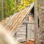Rovaniemi: Vaattunkiköngäs Trail Arctic Circle Forest Hike - In-Depth Look at the Experience