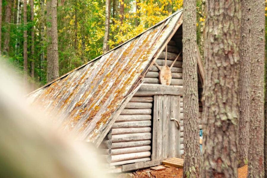 Rovaniemi: Vaattunkiköngäs Trail Arctic Circle Forest Hike - In-Depth Look at the Experience
