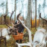 Rovaniemi: Walk with Reindeer - Value for Money and Additional Details