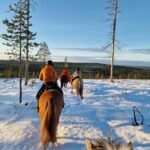 Rovaniemi: Winter Horseback Ride on Snowy Hills and Forests - What’s Included and How It Works