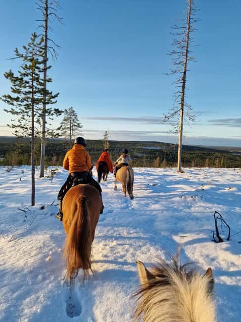Rovaniemi: Winter Horseback Ride on Snowy Hills and Forests - What’s Included and How It Works