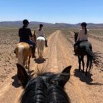 Royal Private Tour of Ksar Ait Ben Haddou - Practical Details and What to Expect