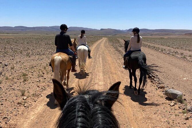 Royal Private Tour of Ksar Ait Ben Haddou - Practical Details and What to Expect