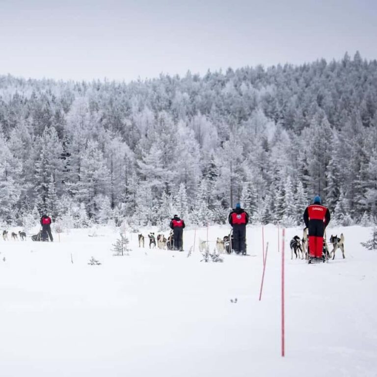 Ruka: Husky Ride and Farm Visit + Fireside Treats - Detailed Breakdown of the Experience