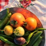 Rural Moldova: Best Yoga Farm Retreat for Soul and Body - An In-Depth Look at the Hillidava Yoga Farm Experience