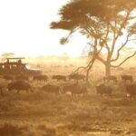 Saadani Day Trip - Who Will Love This Tour?