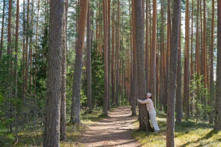 Saarijärvi: Scenic Lakeside Forest Walk with Campfire Food - What to Expect During the Tour
