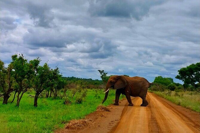 Sabi Sand Sunset Safari - Who Should Book This Tour?