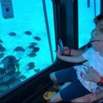 Safaga & Makadi Bay: Royal Seascope Submarine cruise with pickup - Why This Tour Offers Real Value
