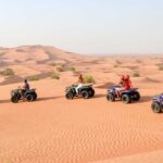 Safari and Barbecue Dinner in the Dubai Desert - Transport & Group Size: What to Expect