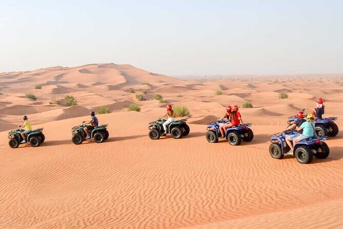 Safari and Barbecue Dinner in the Dubai Desert - Transport & Group Size: What to Expect