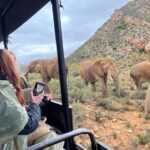 SAFARI Aquila Game Reserve - Round trip + Lunch incl. (Cape Town) - Value and Pricing