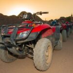 Safari by Quad Bike, Camel Ride With Transfer - Sharm El Sheikh - Pricing and Value