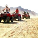 Safari by Quad Bike & Camel Riding & Transfer - Sharm El Sheikh - Bedouin Village & Camel Ride