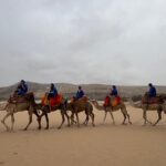 Safari Camel Ride in Banana Beach from Agadir - Practical Details
