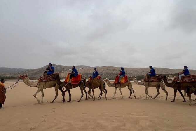 Safari Camel Ride in Banana Beach from Agadir - Practical Details