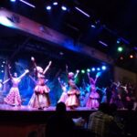 Safari Cat Dancers Show And Dinner - Final Thoughts: Why You Should Consider It